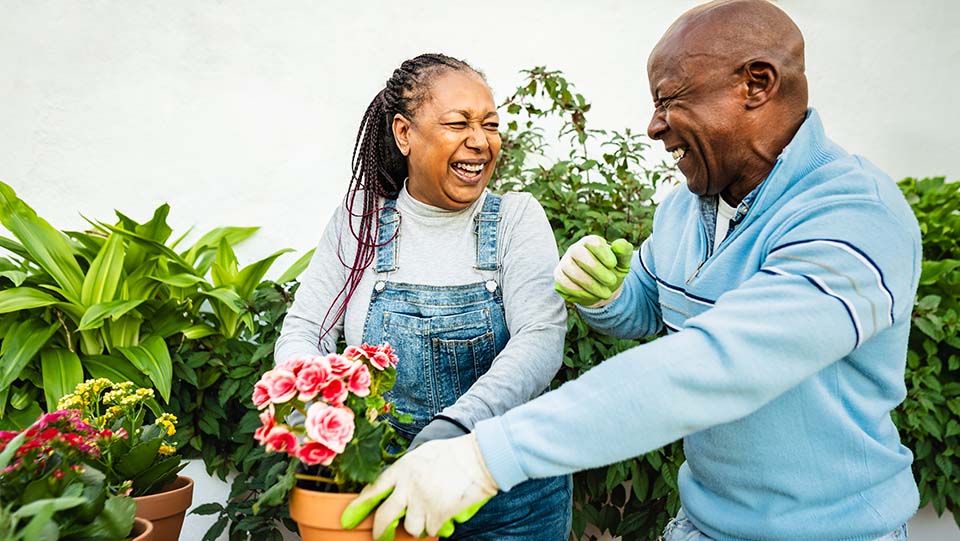 A couple enjoy potting up plants in the garden